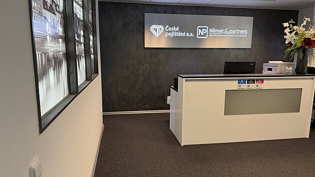 �esk� poji�t�n�