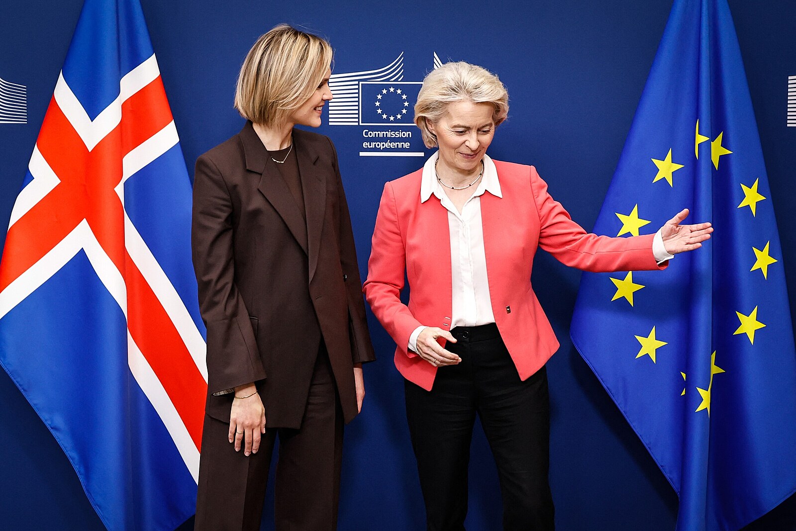 Island chce referendum o přístupových rozhovorech s EU, může být už v létě