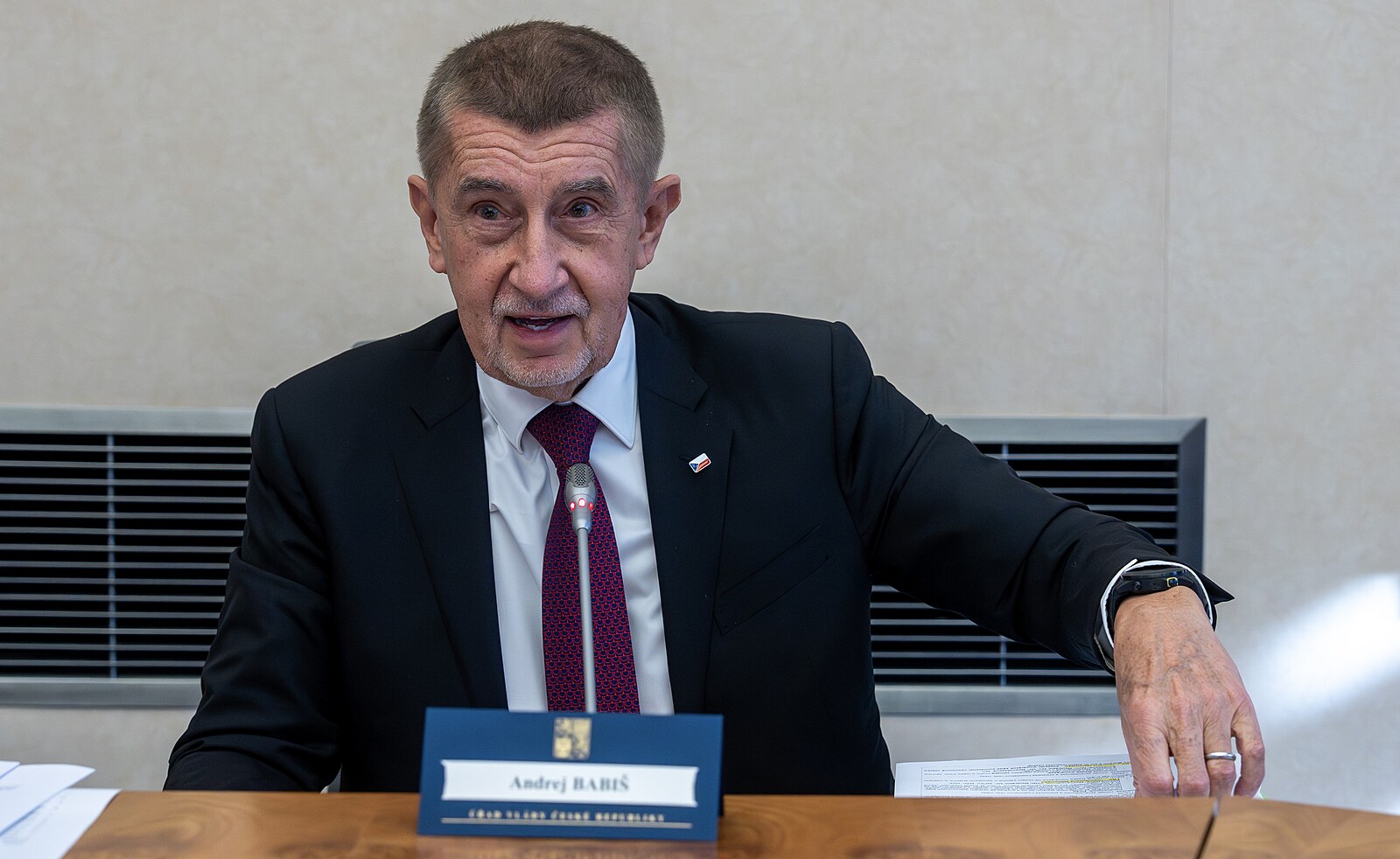 Skandální, nesouhlasí Babiš s podmínkou za týrání psa. Tejc podle něj podá stížnost