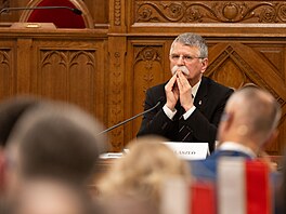 V Budape�ti se koná jednání p�edsed� parlament� zemí V4. Na snímku p�edseda...