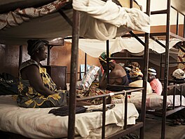 Celu z v�zení ze St�edoafrické republiky tu uvádíme jako kuriozitu nad...