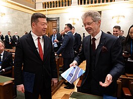 V Budape�ti se koná jednání p�edsed� parlament� zemí V4. Na snímku p�edseda...