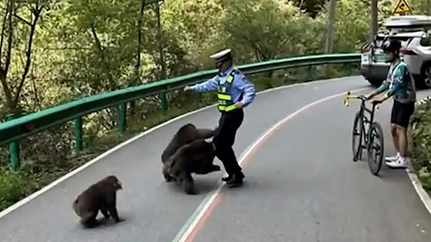 Opice zablokovaly silnici, poté napadly policistu