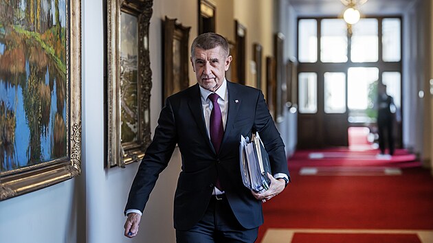 Minist�i p�ich�z� na zased�n� vl�dy. Na sn�mku premi�r Andrej Babi� (ANO). (23. �nora 2026)