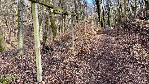 Obora �erven� Hr�dek u Jirkova. Lesn�ci ji zru��.