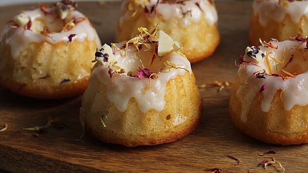 Archiv Petry Burgrov�