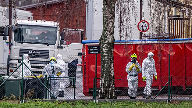 P��pravn� pr�ce p�ed likvidac� velkochovu slepic v Kosi�k�ch, kter� zas�hla n�kaza pta�� ch�ipky. (23. �nora 2026)