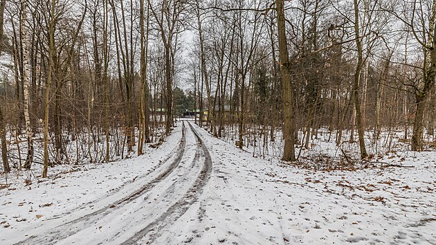 Obyvatele hradeck�ch Mal�ovic tr�p� hluk st�elby z tamn� arm�dn� st�elnice. (23. ledna 2026)