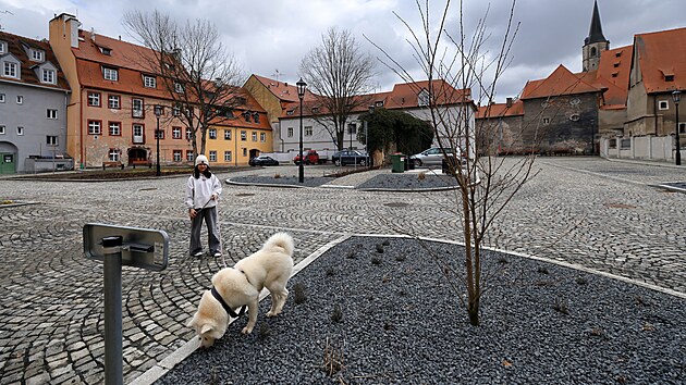 �pravy vnitrobloku se prodra�ily o �ty�i miliony a trvaly o dva m�s�ce d�le. D�vodem byly archeologick� n�lezy. (24. �nora 2026)