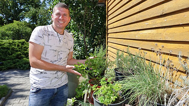 Bylinky rostou prakticky v�ude.
