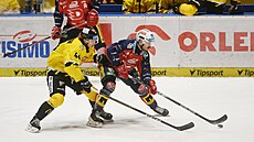 Vlevo litvínovský Emanuel Schmiemann, vpravo Milo� Kelemen z Pardubic.