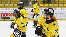 Hokejisté Litvínova na rozbruslení Vlasatého zápasu