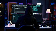 ilustra�ní snímek