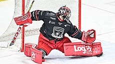 Hradecký branká� Stanislav �korvánek zasahuje v utkání s Vítkovicemi.