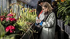 V Královské zahrad� Pra�ského hradu za�ala tradi�ní výstava P�edja�í. (26....