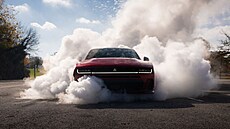 Evropsko-americká automobilová skupina Stellantis loni kv�li odklonu od...