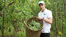 Robert Cvetan vlastní licencovanou prodejnu kratomu, e-shop a brzy se chystá...