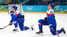 �imon Nemec (vlevo) a Juraj Slafkovský zklaman� kle�í po prohraném zápase o...