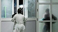 ilustra�ní snímek