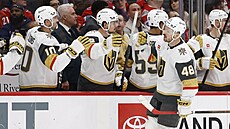Tomá� Hertl slaví se st�ída�kou Vegas trefu proti Washingtonu.