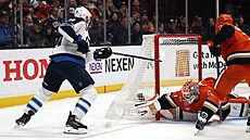 Luká� Dostál brání branku Anaheimu p�ed útokem Jonathana Toewse z Winnipegu.
