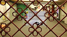 n�mecko stávka odbory verdi MHD