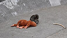 ilustra�ní snímek