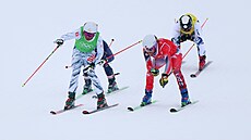 Skikrosa�i Alex Fiva ze �výcarska, �véd Erik Mobaerg, Kana�an Jared Schmidt a...
