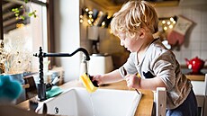 Studie z roku 2017 odhalila, �e na jednom kubickém centimetru houbi�ky �ije a�...