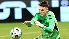 Spar�anský branká� Jakub Surov�ík b�hem zápasu v Plzni.
