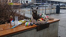 Loni vy�la i kniha Mod�anský Mike� od Petry Lecnarové.