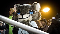 Ústí nad Labem, 27. 2. 2026, 2. fotbalová liga, FK Viagem Ústí nad Labem - SK...