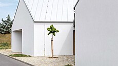 Architekti na pozemku majitel� vysadili strom, který bude d�lat radost i...