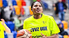 Sania Feaginová se chystá na ligovou premiéru v dresu USK Praha.