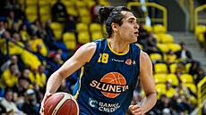 Isaac Davidson v ústeckém dresu