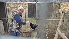 Záchranná stanice vznikla na zahrad� rodinného domu v Líp� nad Orlicí na...