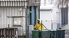 P�ípravné práce p�ed likvidací velkochovu slepic v Kosi�kách, který zasáhla...