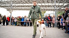 Výstava Myslivost a p�íroda