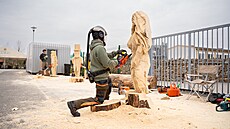 Výstava Myslivost a p�íroda