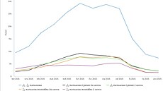 Graf znázor�uje pr�jezd cyklist� po Karlovarské v jednotlivých m�sících roku...