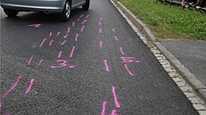 �edesátiletá �idi�ka neudr�ela nervy na uzd� a dostala se do sporu s cyklisty....