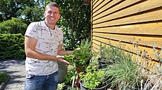 Bylinky rostou prakticky v�ude. 