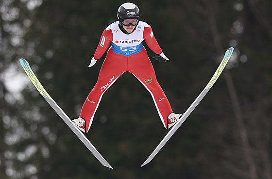 Sdru�ená� Luká� Dole�al ská�e v Lillehammeru.