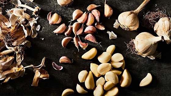 ilustra�ní snímek