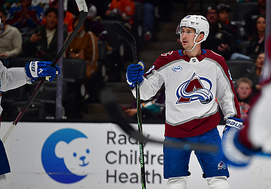 Martin Ne�as z Colorado Avalanche oslavuje gól.