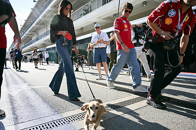 Třináct koček, kůň i známý člen paddocku. Podívejte se na mazlíčky pilotů formule 1