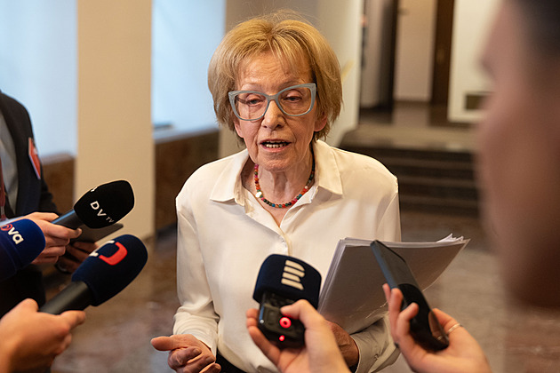 Kajínek po letech opět překvapil Válkovou. S Tempelem za ní přišli do Sněmovny