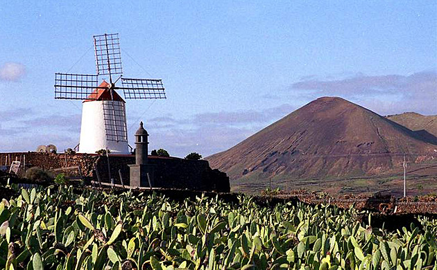 Ostrov ohně, bílých raků a aloe vera. Lanzarote je klenot se slanou příchutí