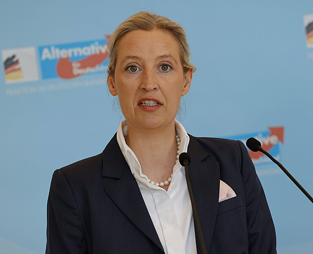 Opravdu chtěla AfD deportovat migranty? Soud rozhodl, že si to novináři vymysleli