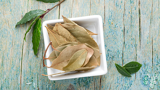 Koření, které Češi často nepoužívají správně. Jaké je tajemství bobkového listu?